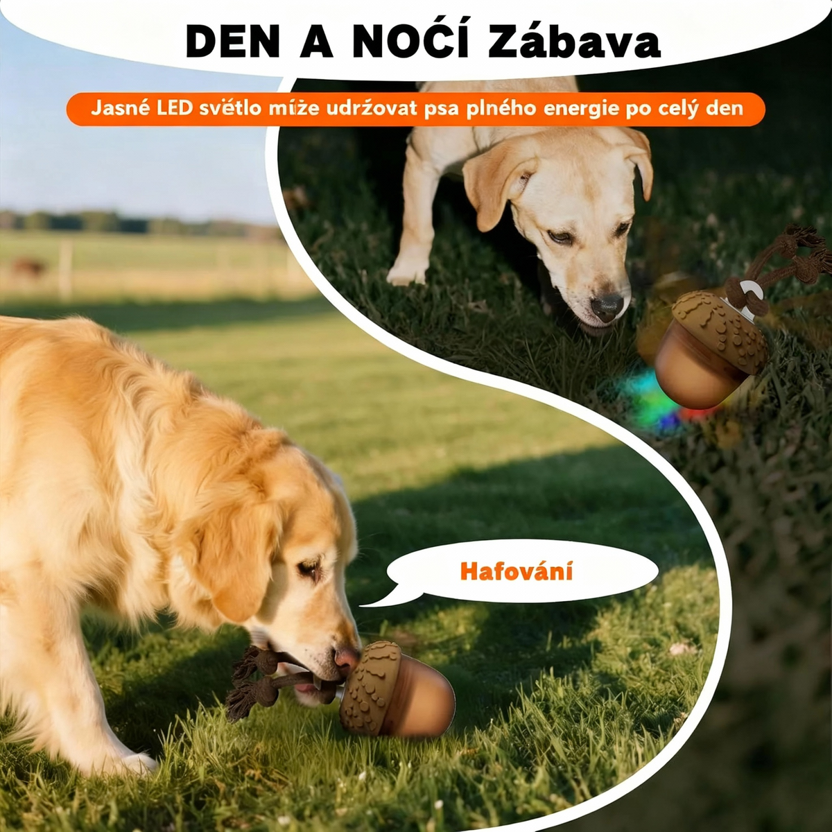 Pohybující se šiška🐶 Konečný zimní spaluč energie pro psy