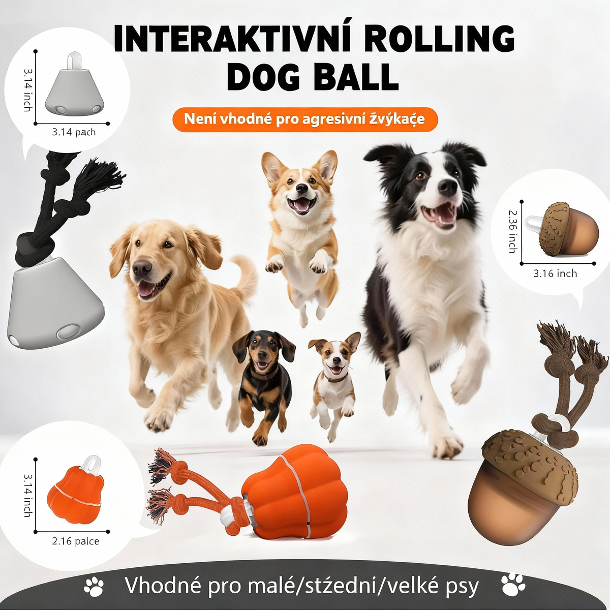 Pohybující se šiška🐶 Konečný zimní spaluč energie pro psy